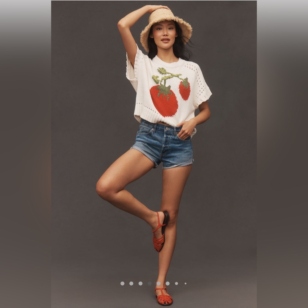 NWT Anthropologie Maeve Short-Sleeve Crew-Neck Veggie Motif Graphic Sweater L